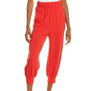 BNWT Free People Where The Wind Blows Joggers larg